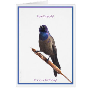 Heliga Grackle! Det är din födelsedag: Hälsningskort