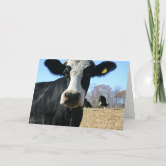 Heliga Ko Vi Har Bytt Plats Meddelande