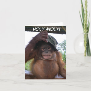 Heliga Moly Get Old Cute Birday Animal Kort