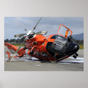 Helikopter för delfin som MH-65 kraschas på Arcata Poster