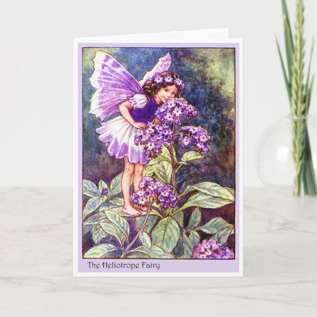 Heliotrope Fairy Kort (Framsida)