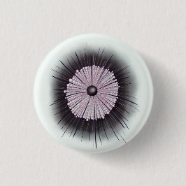 Heliozoa Microbiology Digital Art Knapp