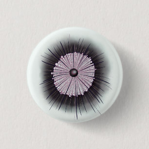 Heliozoa Microbiology Digital Art Knapp