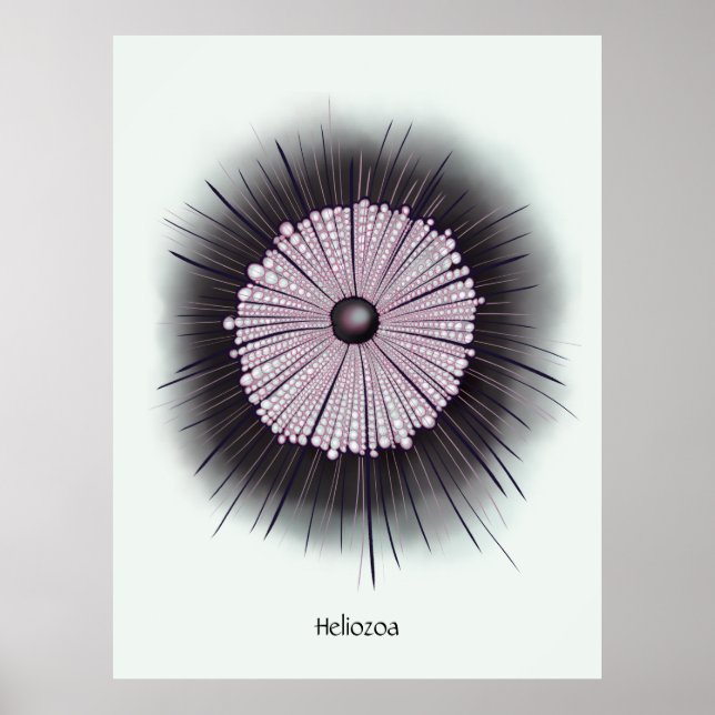 Heliozoa Microbiology Digital Art Poster (Framsidan)