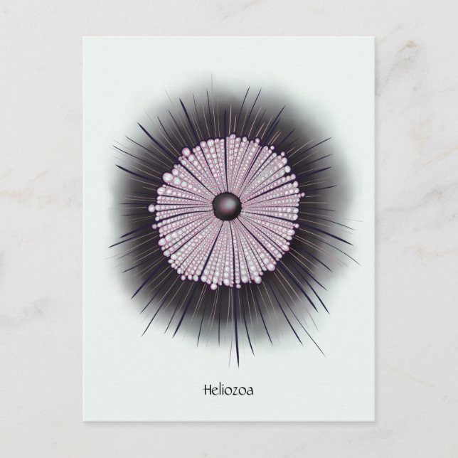 Heliozoa Microbiology Geek Digital Art Vykort (Framsida)