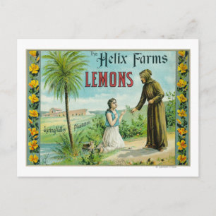 Helix Farms Lemon LabelSan Diego, CA Vykort