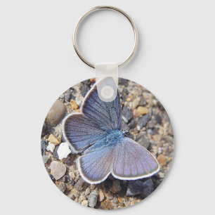 Hellblauer Schmetterling Nyckelring