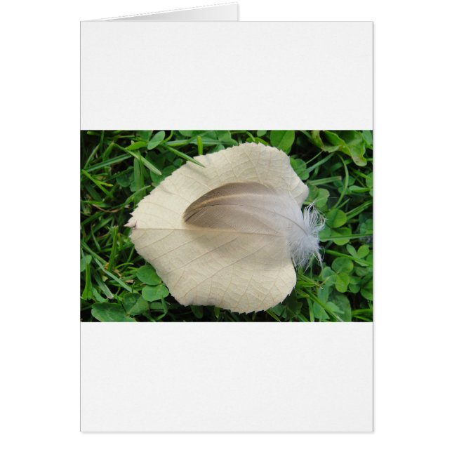 Hellbraune Feder auf hellbeigem Blatt Hälsningskort (Framsidan)
