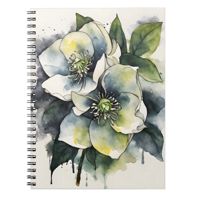 Hellebore - Akvarellblommor Anteckningsbok (Framsidan)