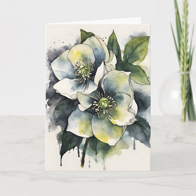 Hellebore - Akvarellblommor Kort (Framsida)
