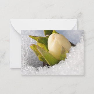 Hellebore som växer genom snö. anteckningskort