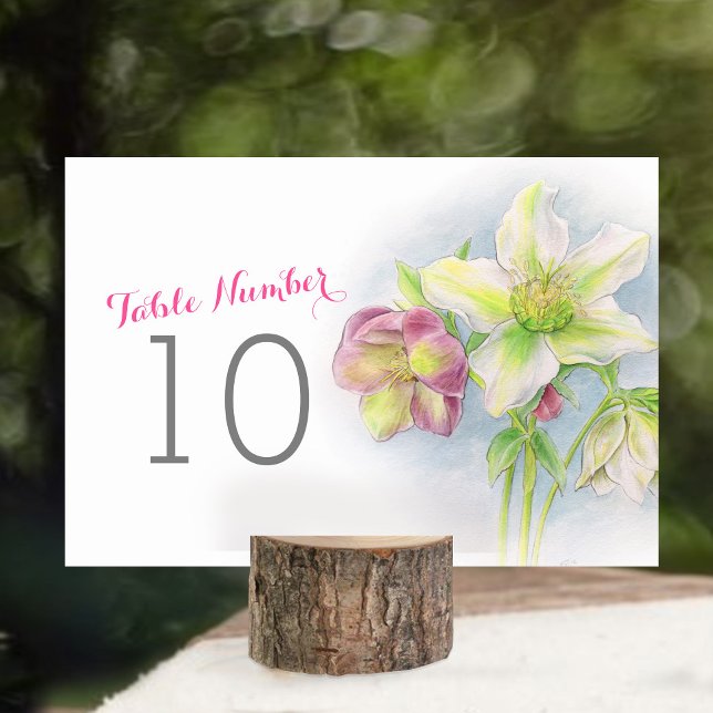 Hellebore white rosa bröllop bordsnummer (Skapare uppladdad)