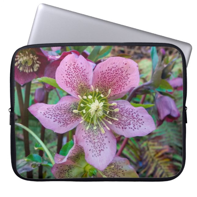 Hellebore Winter Ro Laptop sleeve (Framsidan)