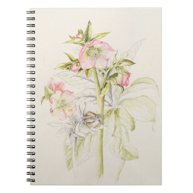 Hellebores Anteckningsbok Med Spiral (Framsidan)