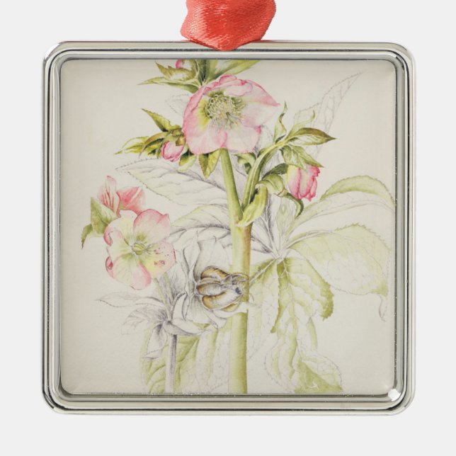 Hellebores Julgransprydnad Metall (Framsidan)