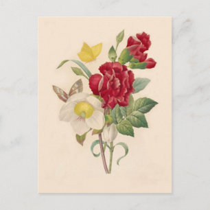 Hellebores och Carnations av Pierre-Joseph Redouté Vykort