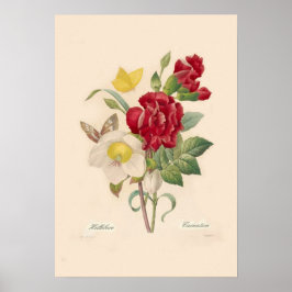 Hellebores och Carnations Poster