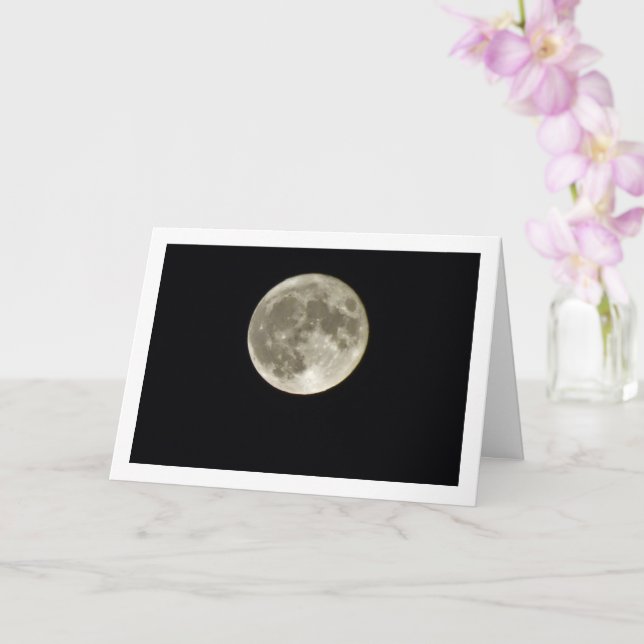 Helliggande Kort (Orkide)