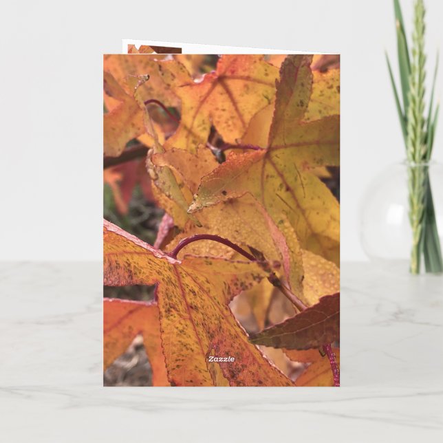 "Hello Fall!" Greeting Card Kort (Baksida)