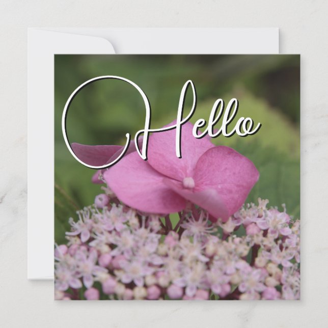 Hello naissance souhaiter bienvenue saluer rose anteckningskort (Framsida)