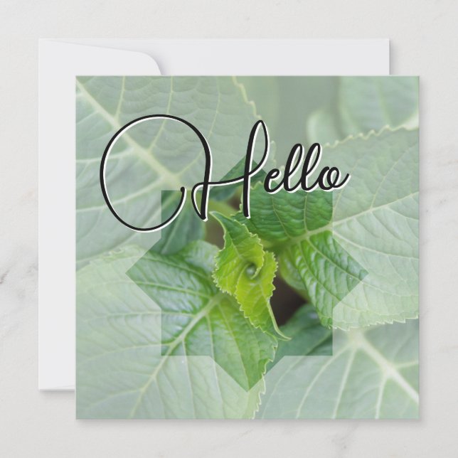 Hello naissance souhaiter bienvenue saluer vert anteckningskort (Framsida)