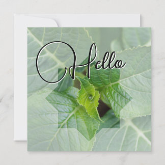 Hello naissance souhaiter bienvenue saluer vert anteckningskort