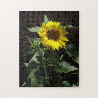 Hello Sunshine Yellow Sunflower Puzzle Pussel