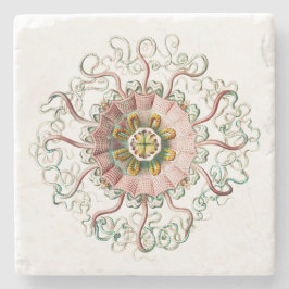 Helmet jellyfish stenunderlägg