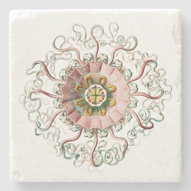 Helmet jellyfish stenunderlägg (Framsidan)