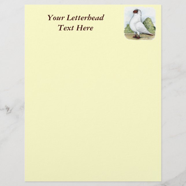 Helmet: Red Pigeon (Framsida)