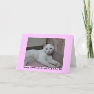 Helmut Notecards Kort