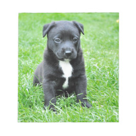 Helt adjektiv uppy anteckningsblock