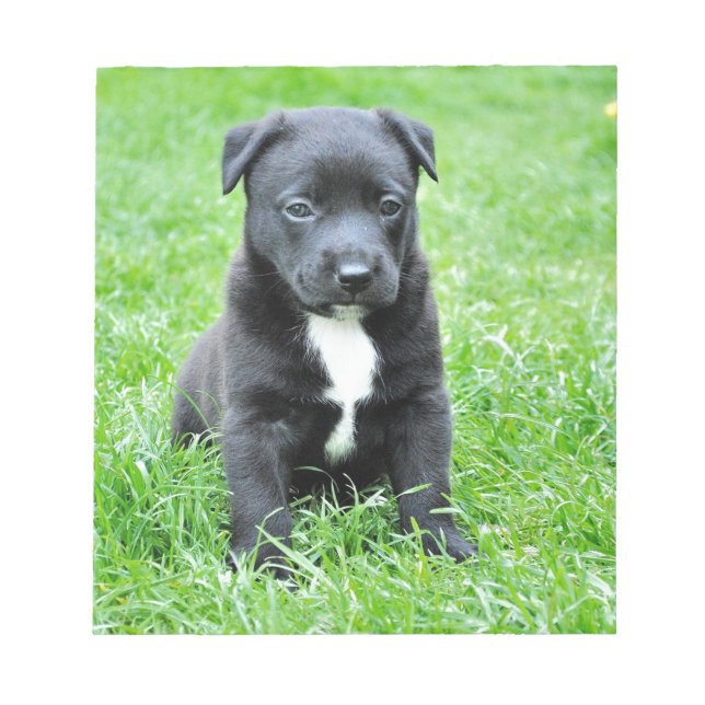 Helt adjektiv uppy anteckningsblock (Framsida)