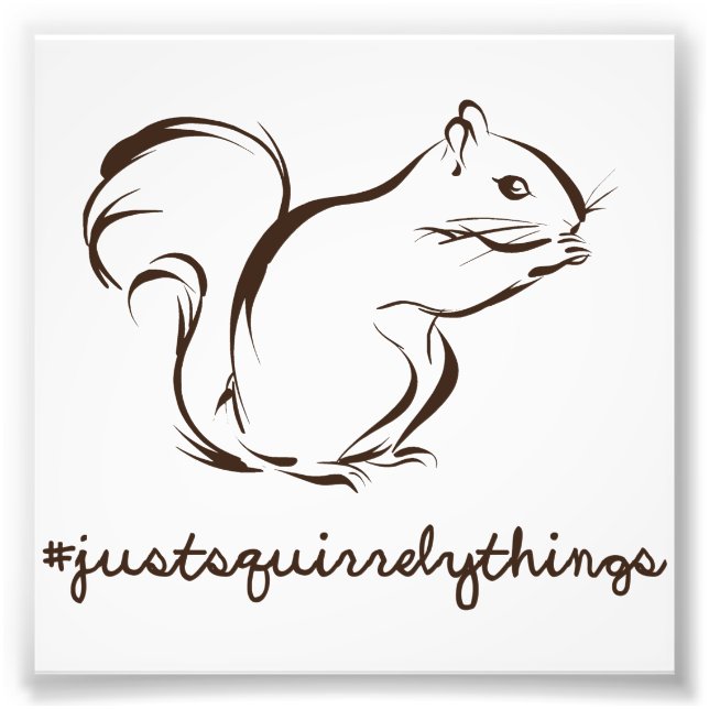 Helt enkelt Sak Squirrel Fototryck (Framsidan)