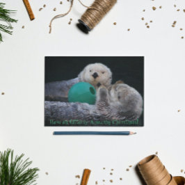 Helt fantastiska havsuttrar helg vykort