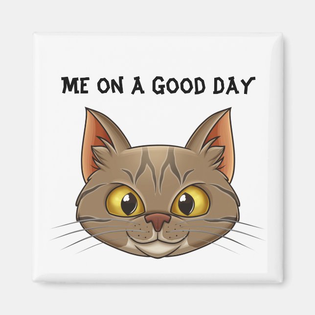 Helt fredligt: Katt Ansikte Magnet (Framsidan)