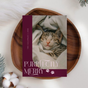 Helt och hållet merry Cat Photo Cranberry-julen Julkort