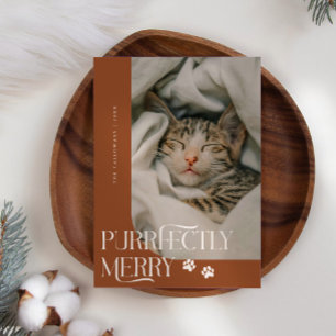 Helt rätt, Merry Cat Photo Terracotta-jul Julkort