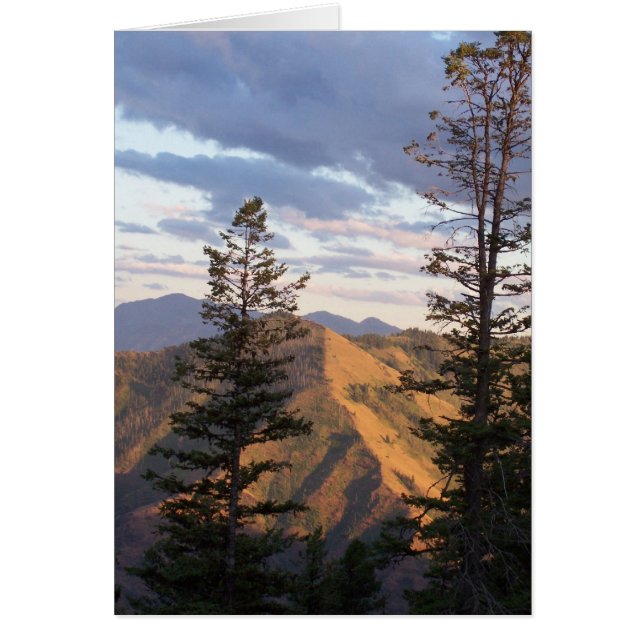 Helvetelodrät beskådar OBS kort (Framsidan)