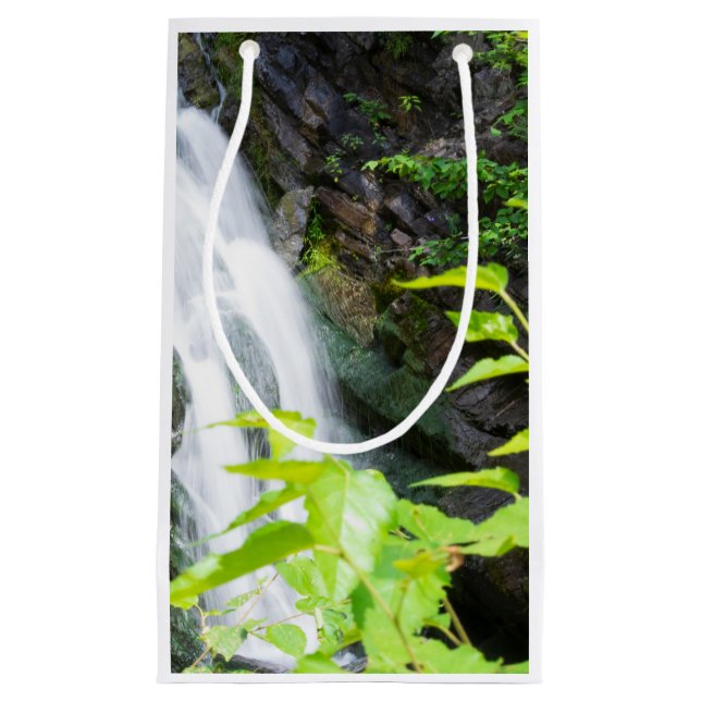 Helvetesportens kanjon vattenfall (Framsidan)