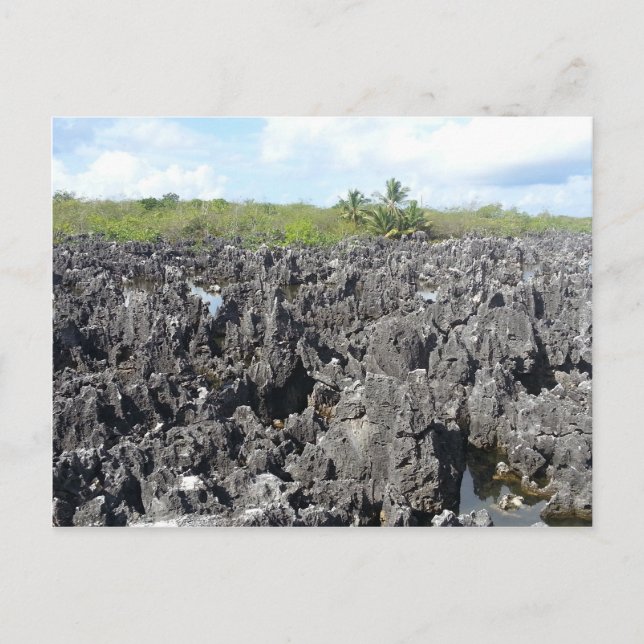 Helvetet på Grand Cayman-öarna Vykort (Framsida)