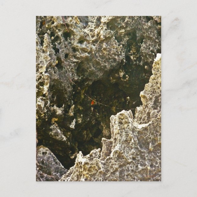 Helvetets Sten Vykort (Framsida)