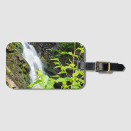 Helvetets vattenfall i Grind Canyon Bagagebricka