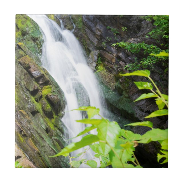 Helvetets vattenfall i Grind Canyon Kakelplatta (Framsidan)