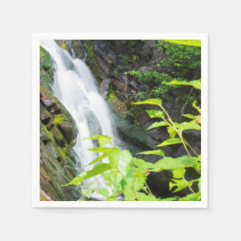 Helvetets vattenfall i Grind Canyon Pappersservett