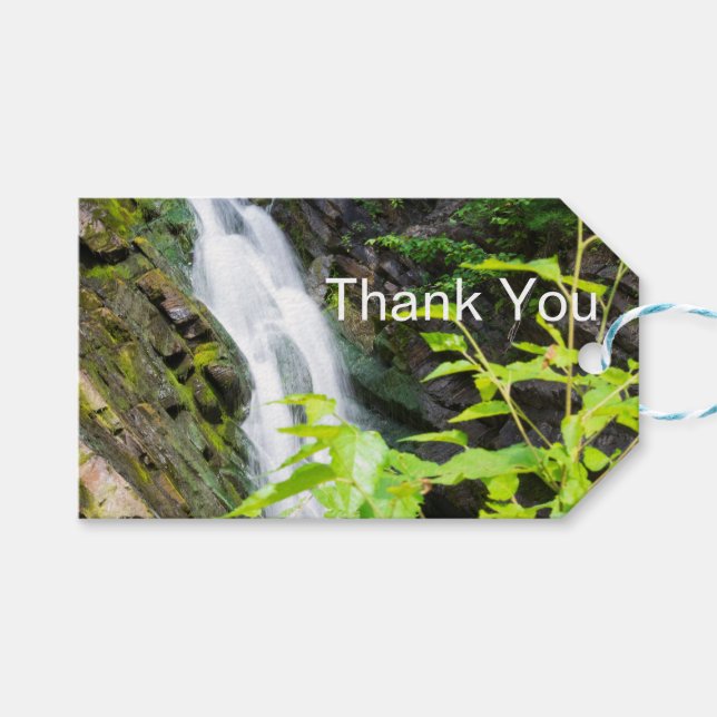 Helvetets vattenfall i Grind Canyon Presentetikett (Framsidan (Horisontell))