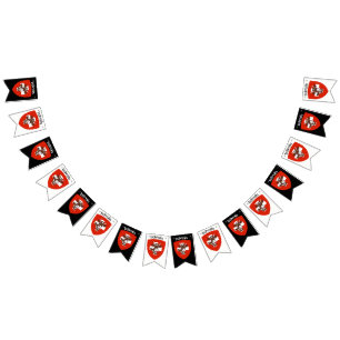 Helvetia Party Bunting Banner Vimplar