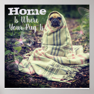 Hem är där din pug är poster