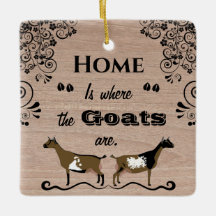 Hem är där getterna finns - nigerianska dvärggette