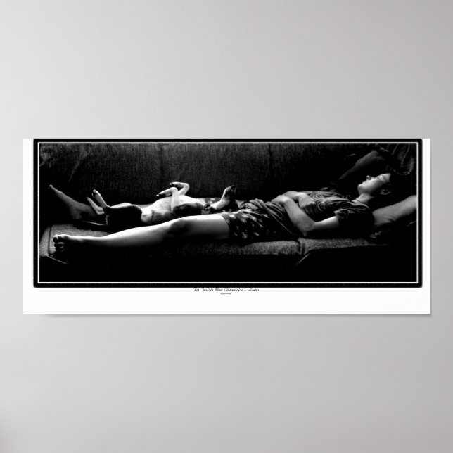 Hem - Bästa vän Poster (Framsidan)